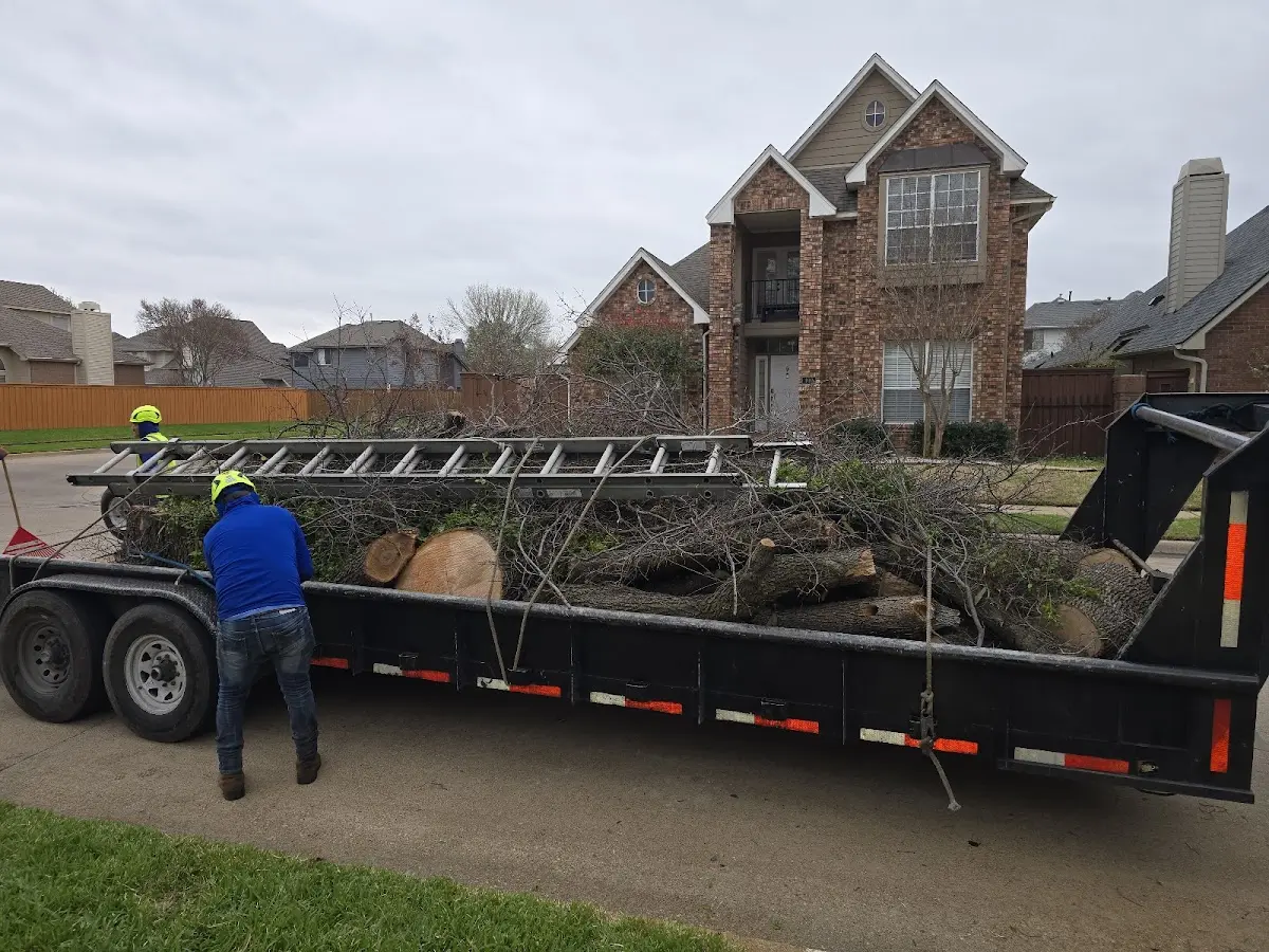 Expert Lot Clearing with proper safety equipment in Sterling